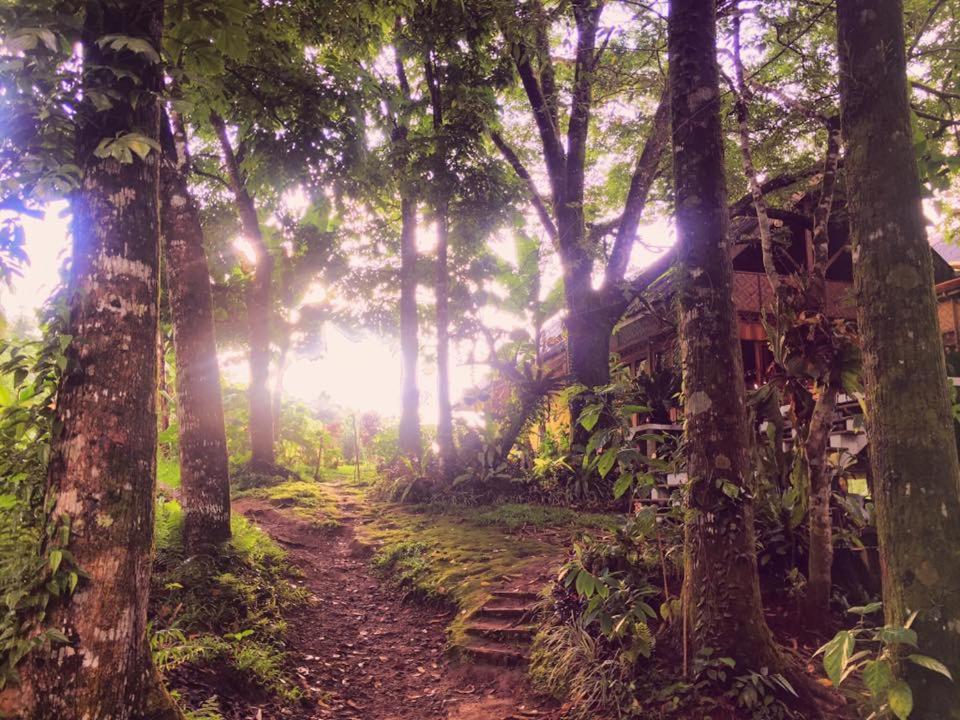 Camiguin Volcano Houses-Panoramic House 맘바자오 외부 사진